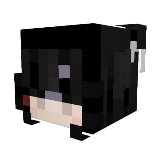 BraicitoEmicita Minecraft avatar head, 3D render