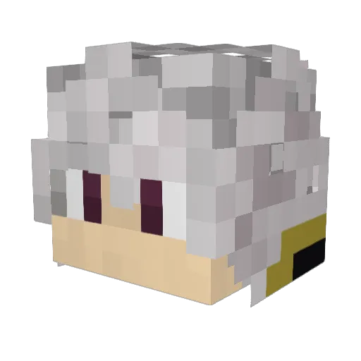 Braidenpoob Minecraft avatar head, 3D render