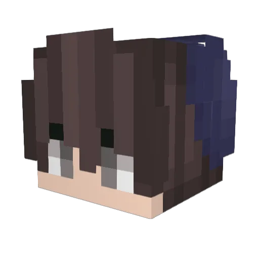 Braiian Minecraft avatar head, 3D render