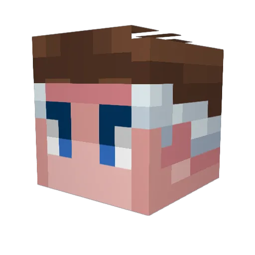 BrailTeq Minecraft avatar head, 3D render