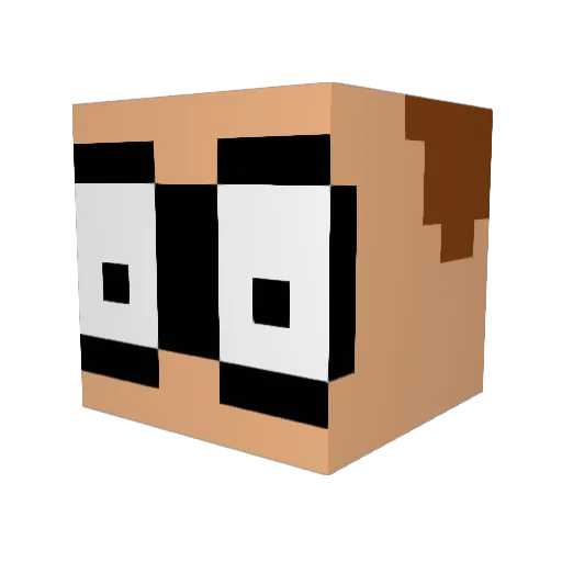 BrainBuster1101 Minecraft avatar head, 3D render