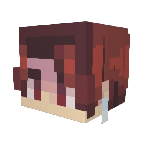 BrainIesss Minecraft avatar head, 3D render