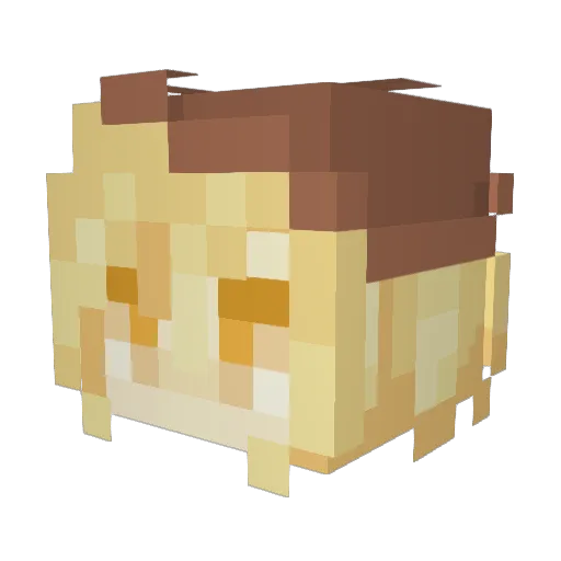 Brain_Rotted Minecraft avatar head, 3D render