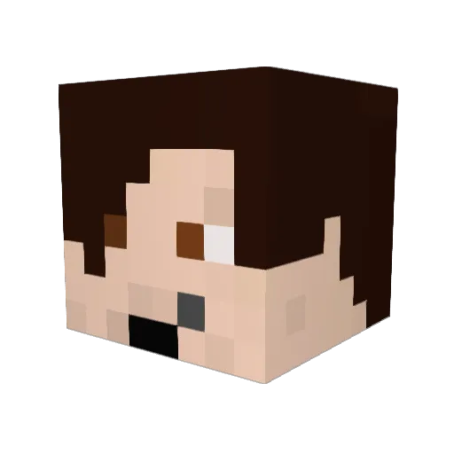 Braincab Minecraft avatar head, 3D render