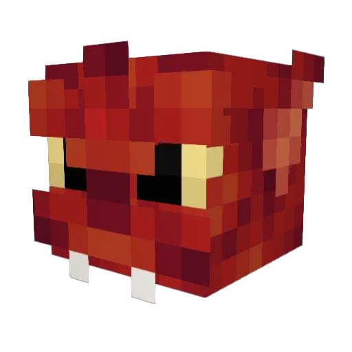 Braino1234 Minecraft avatar head, 3D render