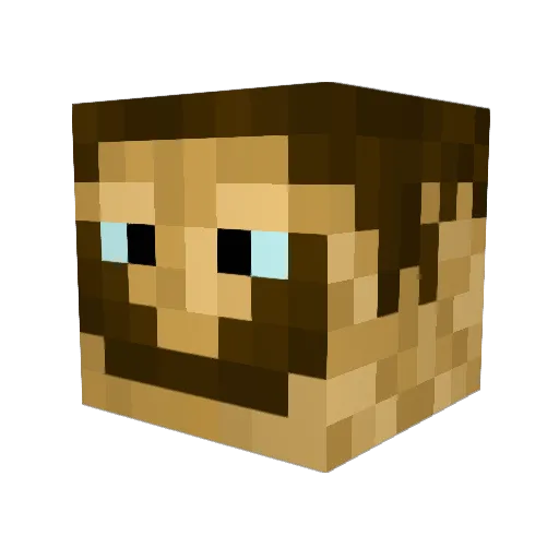Brainstorm43 Minecraft avatar head, 3D render
