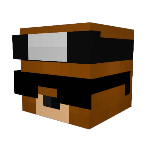 Brainwash_ Minecraft avatar head, 3D render