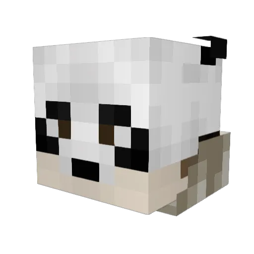 Brainwave3 Minecraft avatar head, 3D render