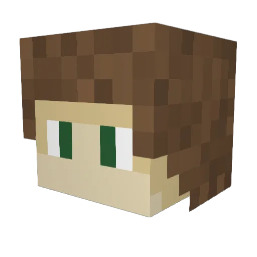 BraiseNt Minecraft avatar head, 3D render
