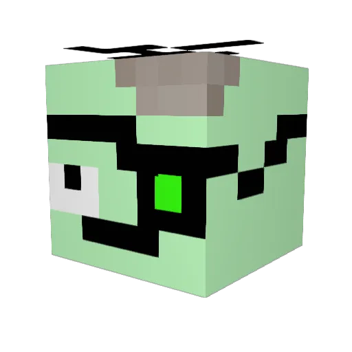Brajan12321 Minecraft avatar head, 3D render