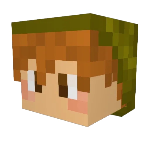 Brakeven Minecraft avatar head, 3D render
