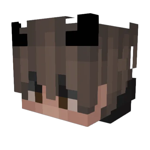 Brakstaka Minecraft avatar head, 3D render