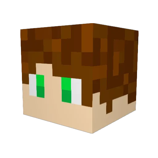 BramdonUS Minecraft avatar head, 3D render