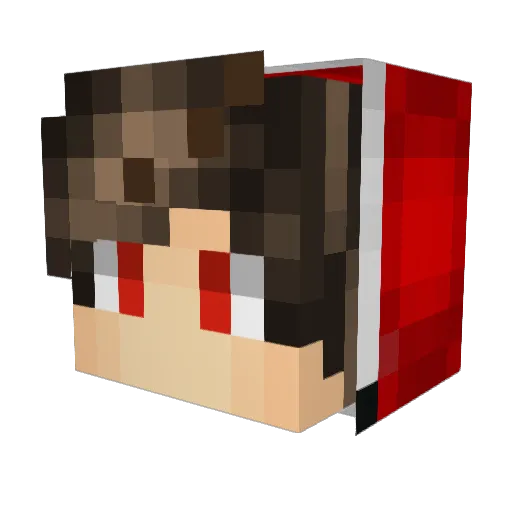 Bran26 Minecraft avatar head, 3D render