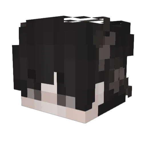 Bran695 Minecraft avatar head, 3D render