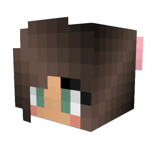 Bran7Bran Minecraft avatar head, 3D render