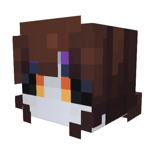 BranVan90003306 Minecraft avatar head, 3D render