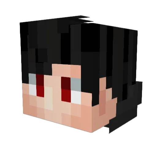 Bran_777 Minecraft avatar head, 3D render