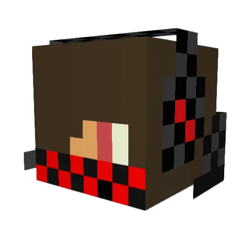 Bran_Rage Minecraft avatar head, 3D render