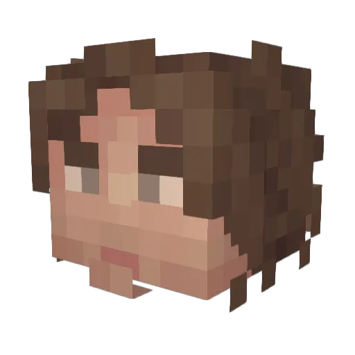 Bran_man12 Minecraft avatar head, 3D render
