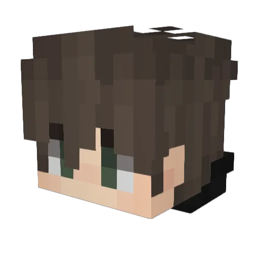 Branch69 Minecraft avatar head, 3D render