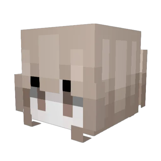 BrancheDeCimbru_ Minecraft avatar head, 3D render