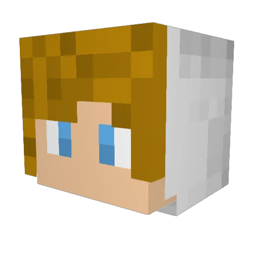 BranchySquash Minecraft avatar head, 3D render