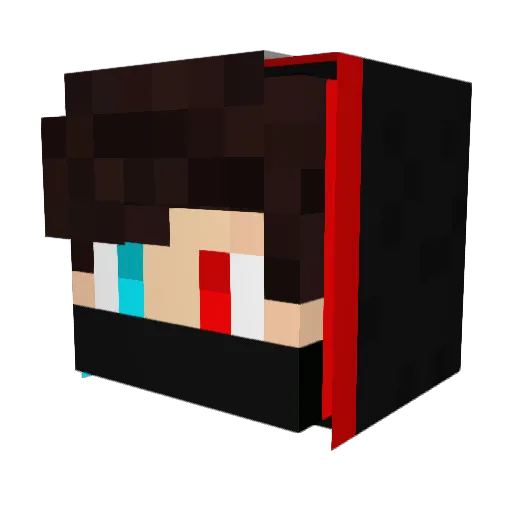 Branco_gamer Minecraft avatar head, 3D render