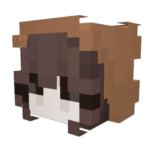 Brand Minecraft avatar head, 3D render