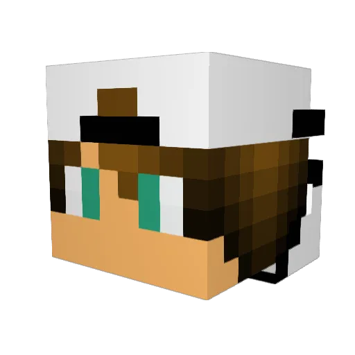 Brandax Minecraft avatar head, 3D render