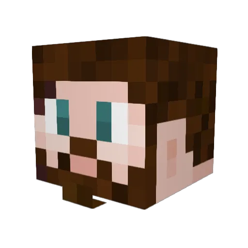 BrandenMan Minecraft avatar head, 3D render