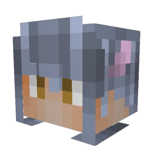BrandiuxX133 Minecraft avatar head, 3D render