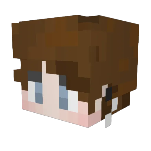Brandmeister_ Minecraft avatar head, 3D render