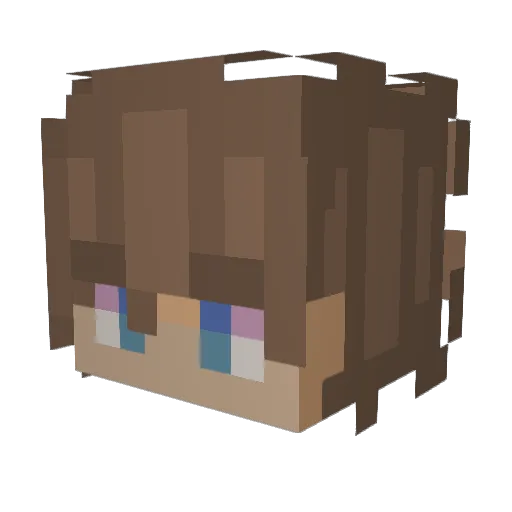Brando0_ Minecraft avatar head, 3D render