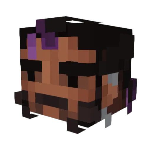 Brandolius Minecraft avatar head, 3D render