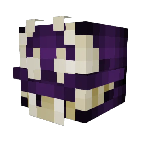 Brandon037 Minecraft avatar head, 3D render