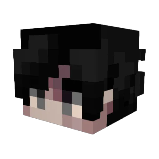 Brandon2350 Minecraft avatar head, 3D render
