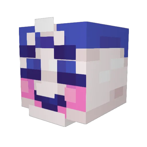 Brandon789 Minecraft avatar head, 3D render