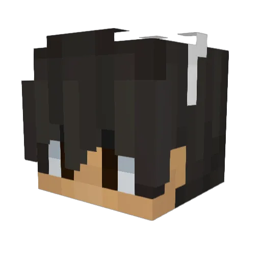 BrandonKimchi Minecraft avatar head, 3D render