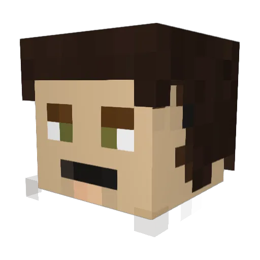 BrandonOrlando2 Minecraft avatar head, 3D render