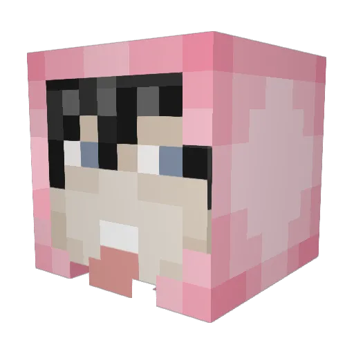BrandonReal Minecraft avatar head, 3D render