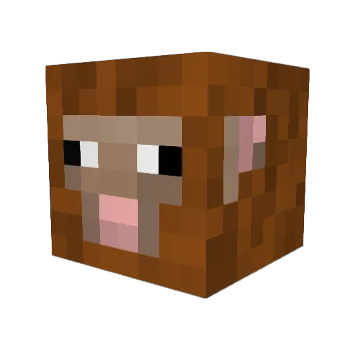 BrandonTruth Minecraft avatar head, 3D render