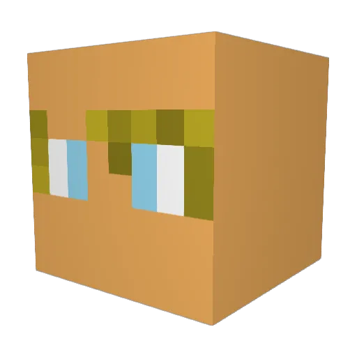 BrandonWho Minecraft avatar head, 3D render
