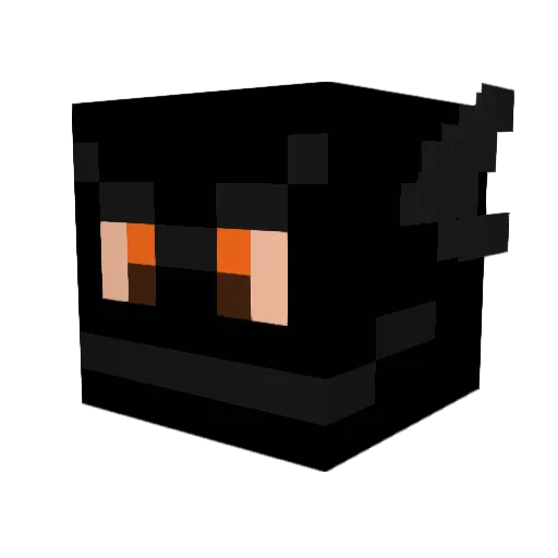 Brandon_1234 Minecraft avatar head, 3D render