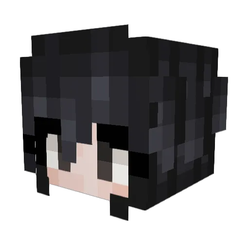 Brandonn6666 Minecraft avatar head, 3D render