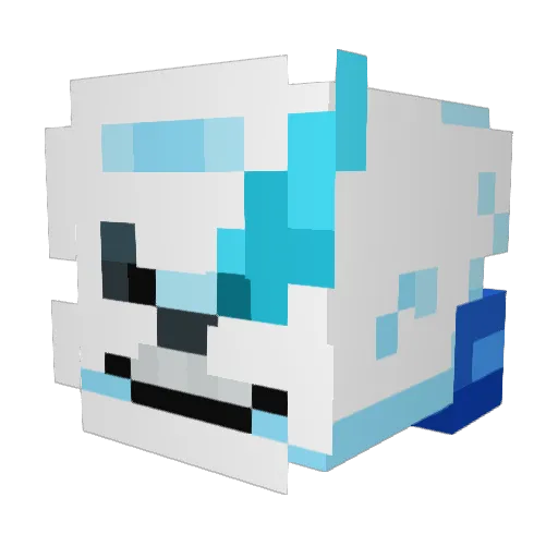 Brandonthefunky Minecraft avatar head, 3D render
