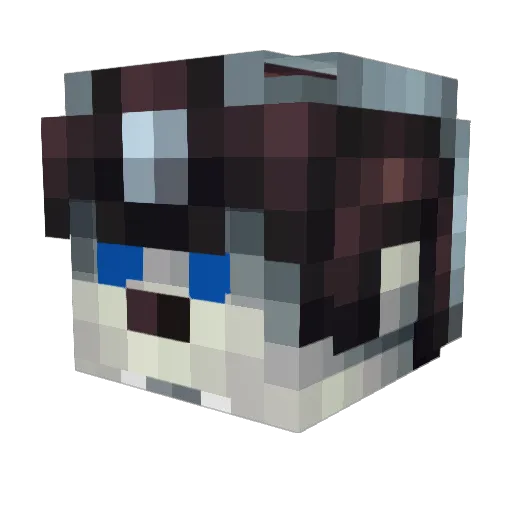 Brandonyay Minecraft avatar head, 3D render