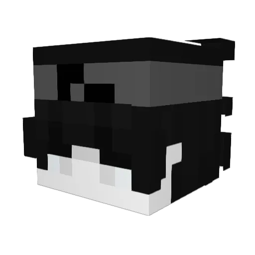 Brandubh18 Minecraft avatar head, 3D render