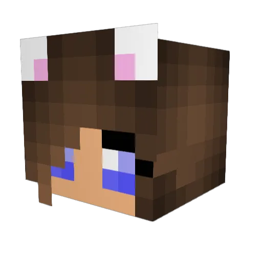 BrandyMaxx Minecraft avatar head, 3D render