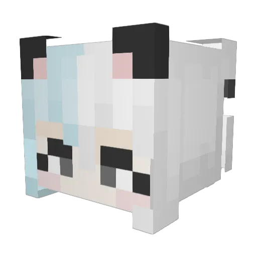 Branflakes143 Minecraft avatar head, 3D render